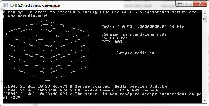 redis server